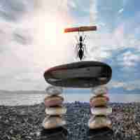 脚‍本‍分​镜‌头﻿设‍计‍绘﻿画‍图​片​